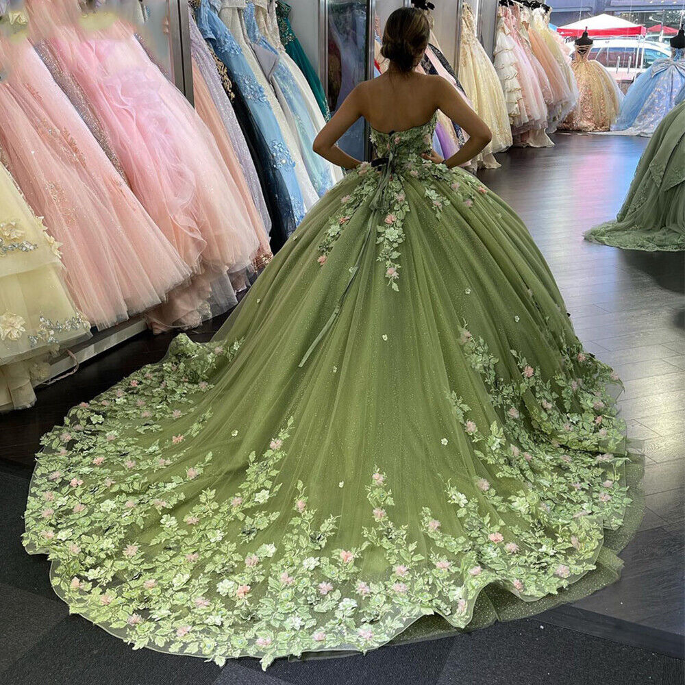 Quinceanera Dresses Ball Gown Lace Ball Gown Sweet 16 Dress With Flowers fg486