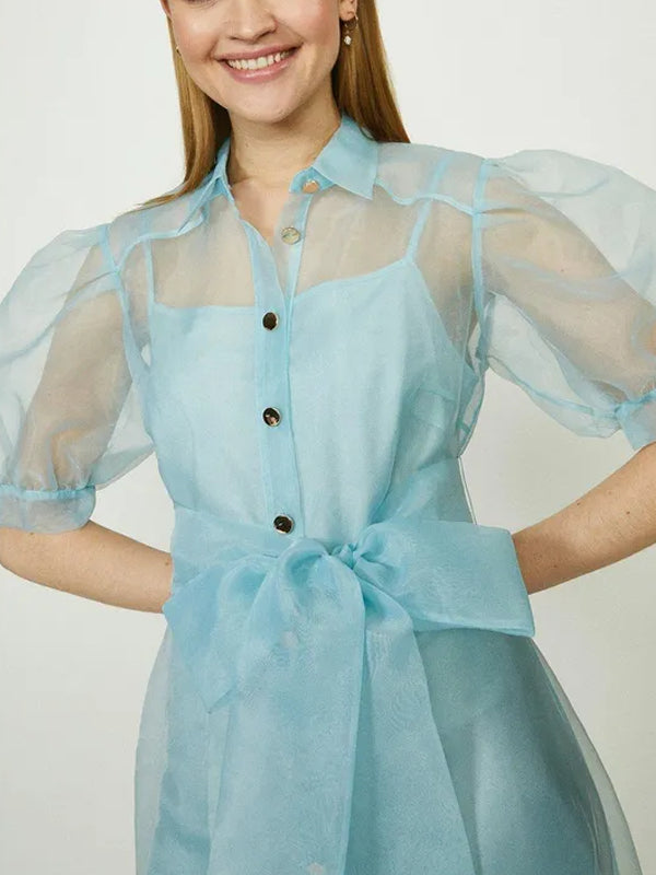 Organza Puff Sleeve Tie Waist Dress