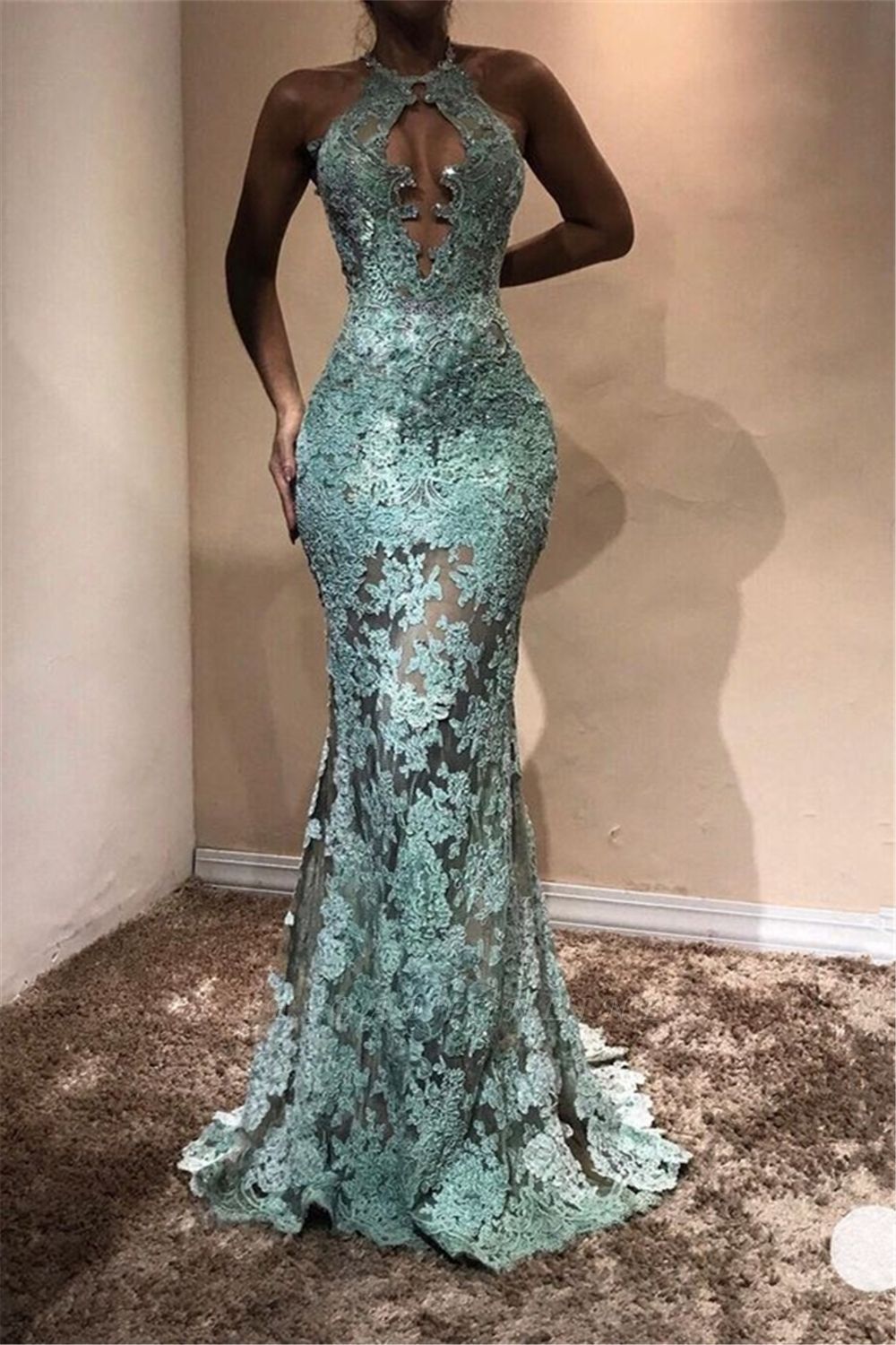 Halter Sleeveless Mermaid Prom Dresses | Lace Appliques Long Evening Gowns fg2401
