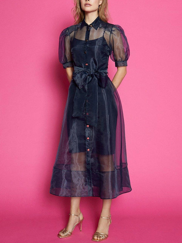 Organza Puff Sleeve Tie Waist Dress