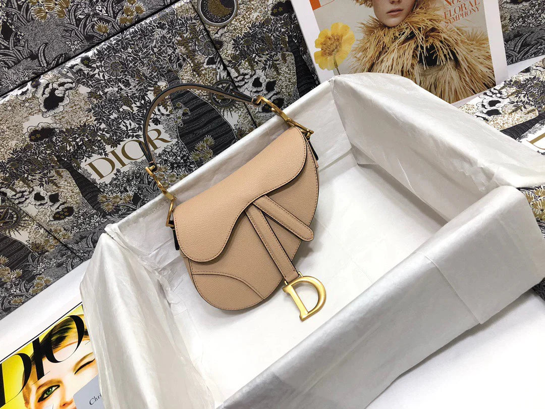 Dior Saddle Small Nude Color 21x18x5 cm