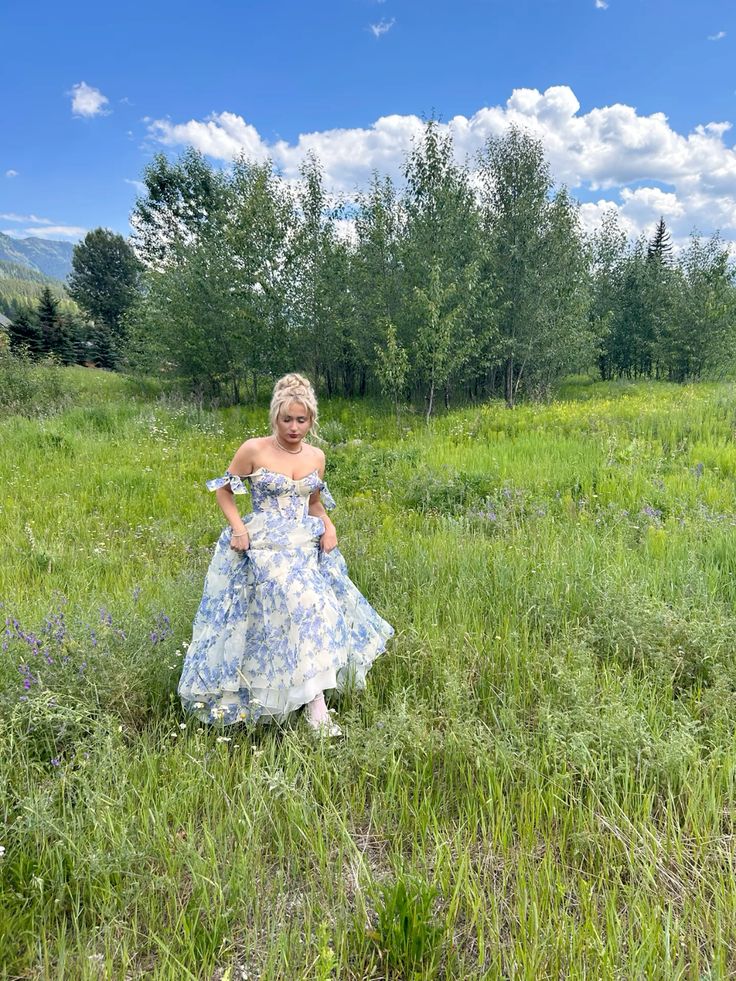 Special Floral Pattern Chiffon A-Line Prom Evening Dresses fg4817