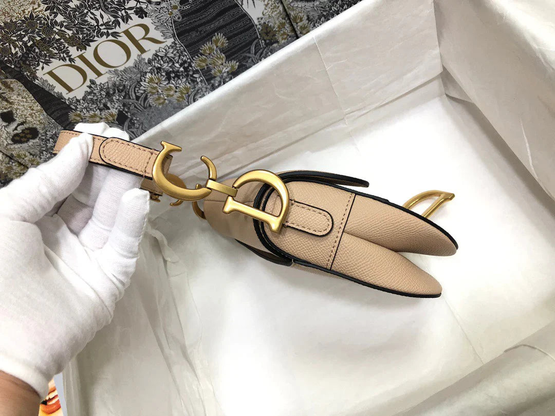 Dior Saddle Small Nude Color 21x18x5 cm