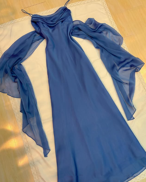 Elegant Blue Chiffon Sheath Prom Dress Party Gown