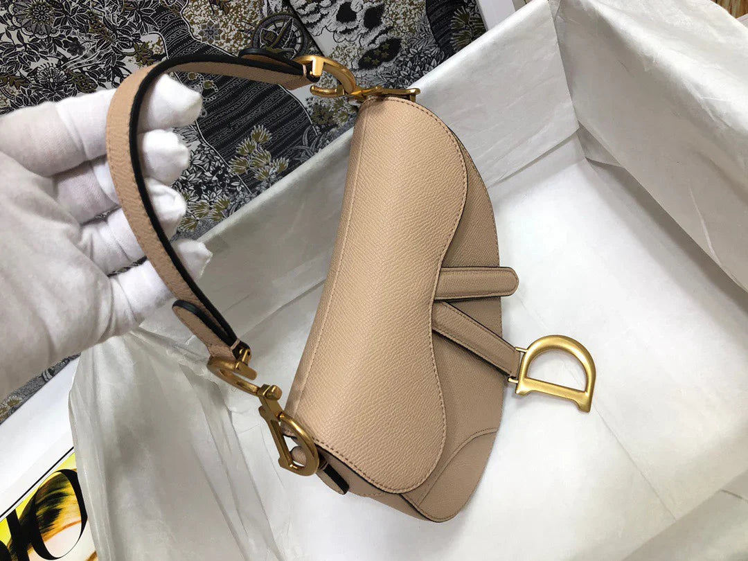 Dior Saddle Small Nude Color 21x18x5 cm