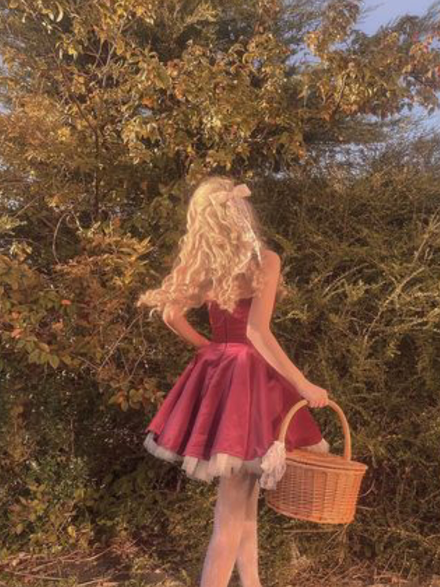 Pretty A line Spaghetti Straps Velvet Formal Homecoming Dresses Short 16th Birthday Outfits Graduation Dress Mini Cocktail Dresses DH2476