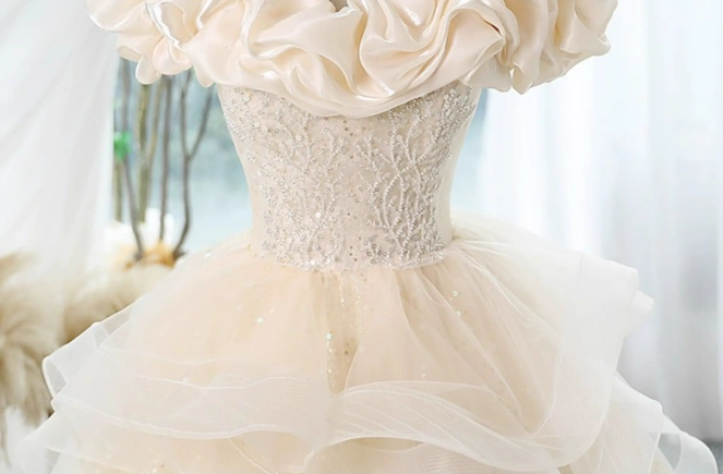 Champagne A-line off-the-shoulder tulle lace short prom dress, champagne homecoming dress ED01055