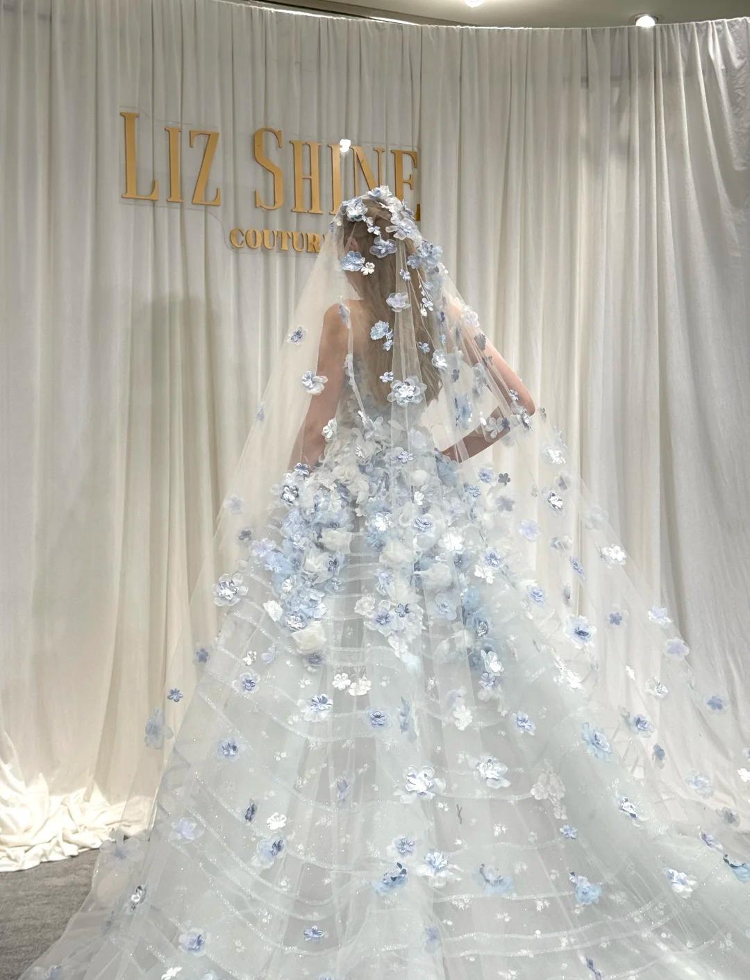 Fairytale White Tulle Strapless A-Line 3D Applique Trailing Wedding Dress ED02445