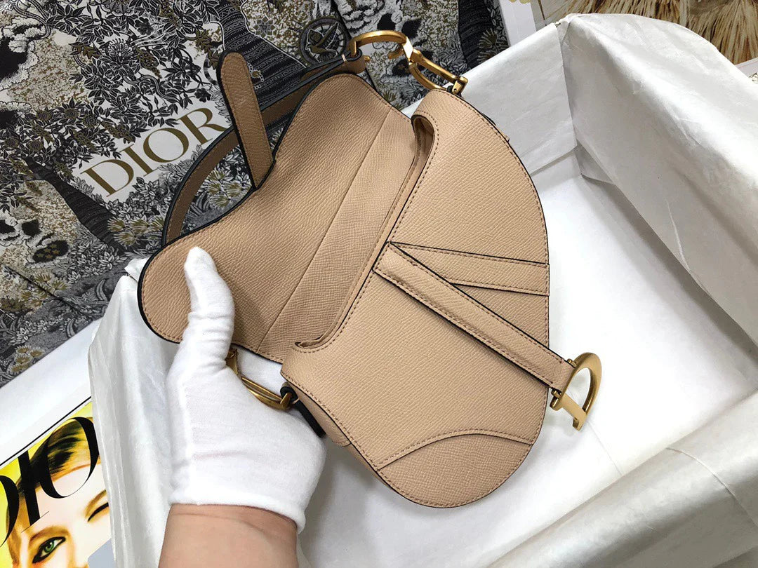 Dior Saddle Small Nude Color 21x18x5 cm
