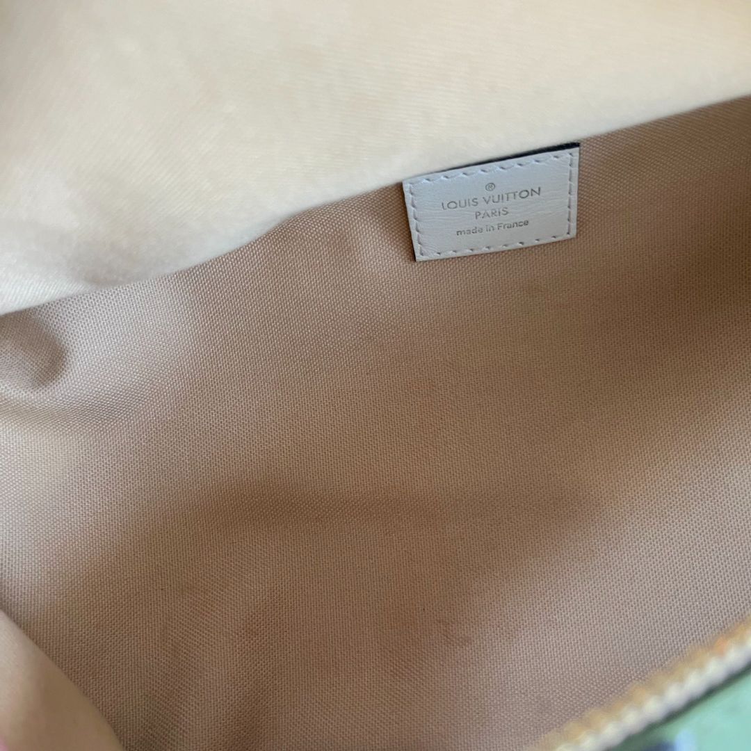 Louis Vuitton Bumbag Limited Runway Giant Monogram