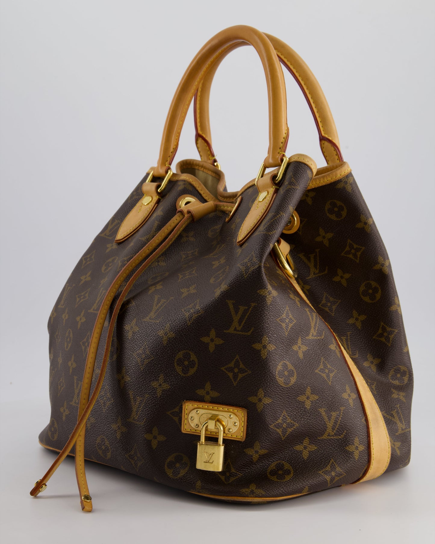 Louis Vuitton Brown Monogram Eden Neo Bag with Gold Hardware