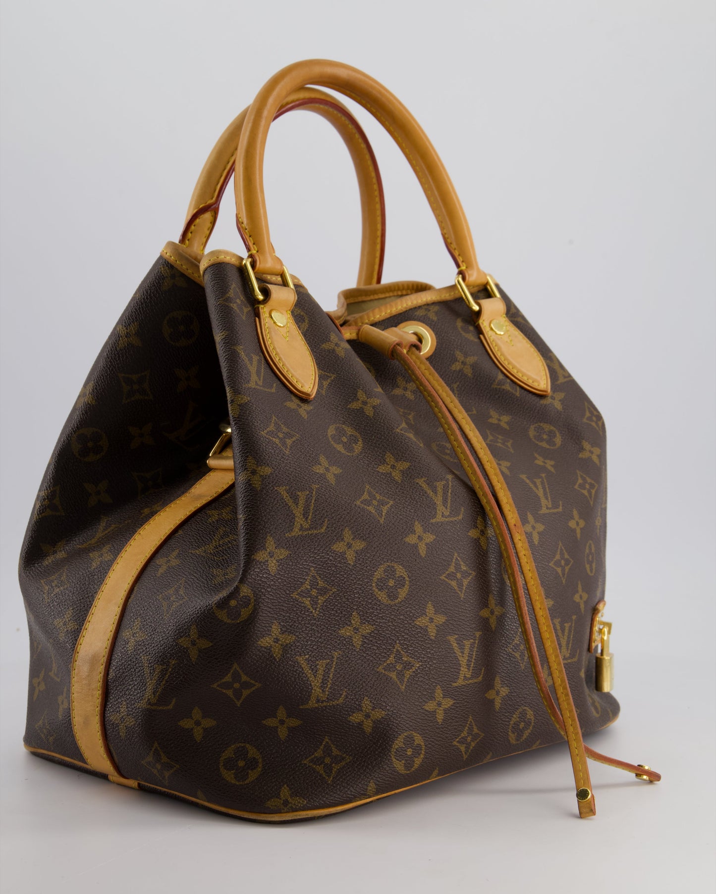 Louis Vuitton Brown Monogram Eden Neo Bag with Gold Hardware