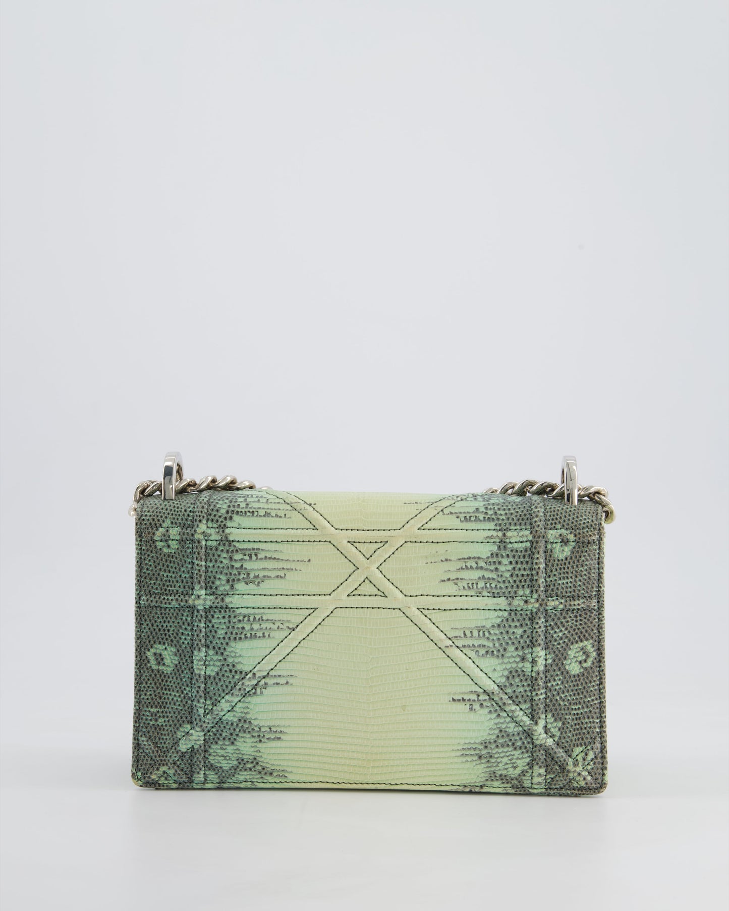 Christian Dior Small Diorama Flap Bag in Light Green Lizard With Silver Hardware