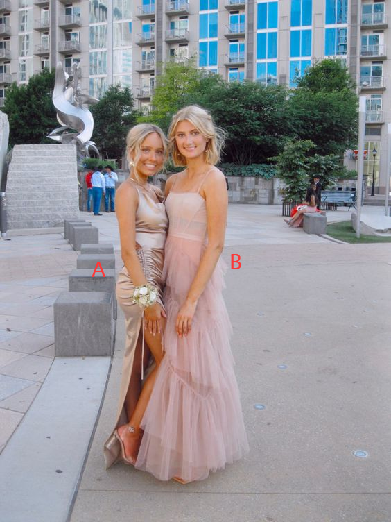 Charming Prom Dress Pink Evening Dress fg2733
