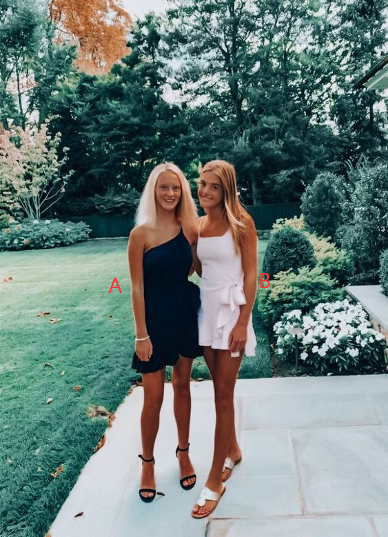 Beautiful short prom dress. Elegant Dresses,Party Gown fg2781