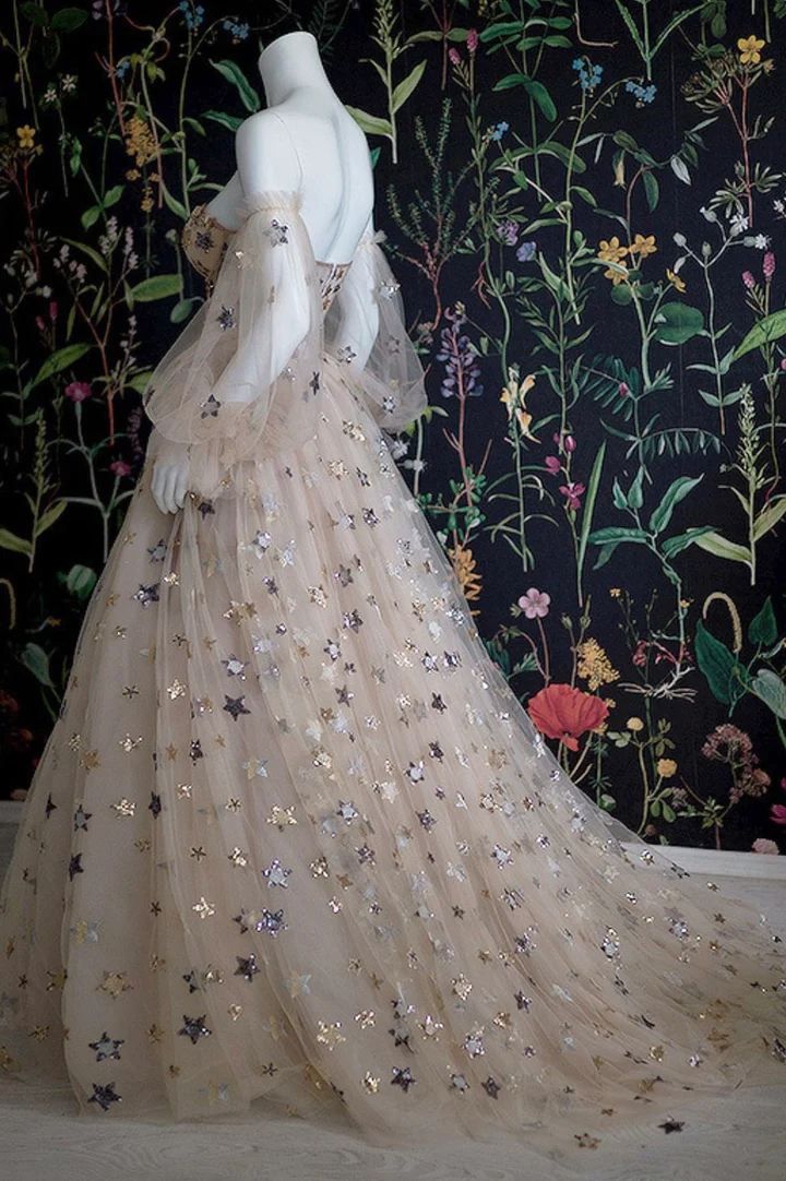 Champagne Tulle Long Prom Dress, Off the Shoulder Evening Dress with Stars fg3173