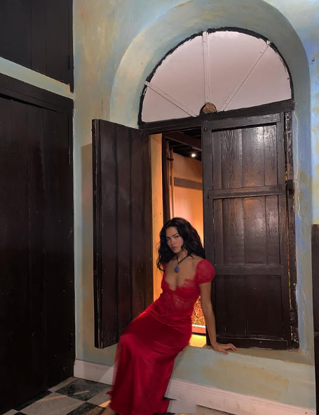 Sexy Mermaid V Neckline Red Lace Long Evening Dress Prom Dresses SD2148