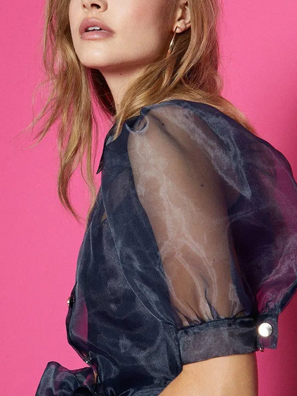 Organza Puff Sleeve Tie Waist Dress