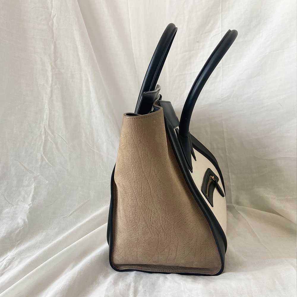 Celine Tricolor Mini Luggage Tote Bag