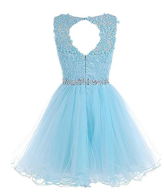 Short Homecoming Dresses Tulle Homecoming Dress cg16078