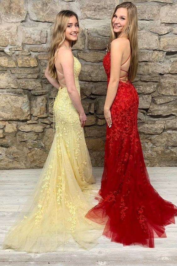 Elegant Lace Mermaid Long Prom Dress cg16627