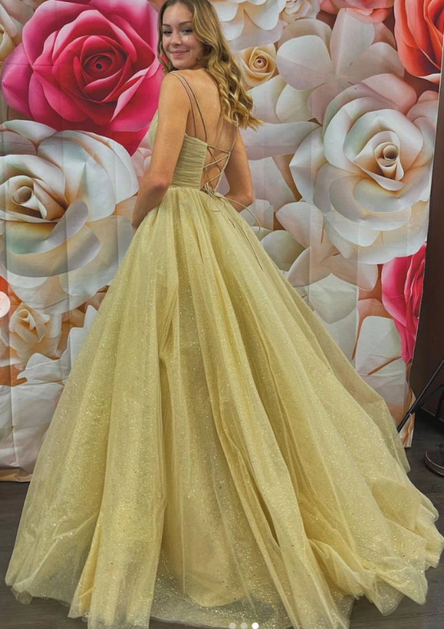 Simple v neck tulle long prom dress champagne evening dress cg17659