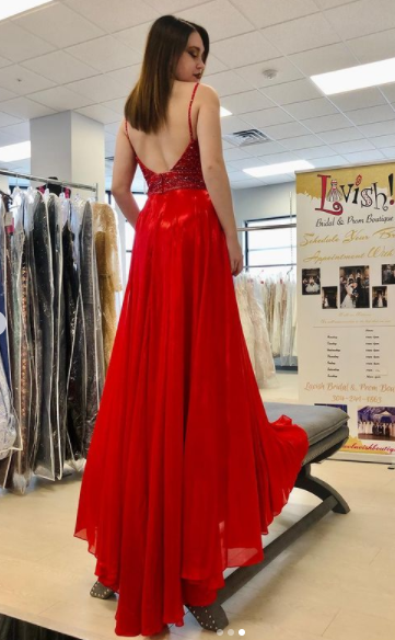 A-Line Prom Dresses, Evening Dress Prom Gowns, Formal Women Dress,Prom Dress cg19509