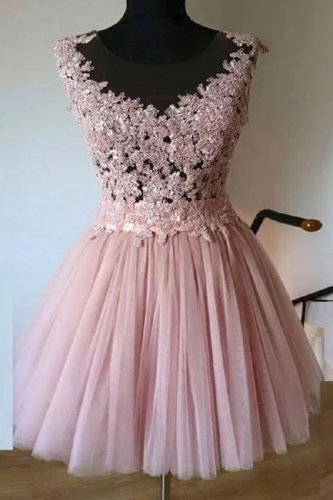 Sheer Neck Tulle Short Homecoming Dresses with Appliques cg3589