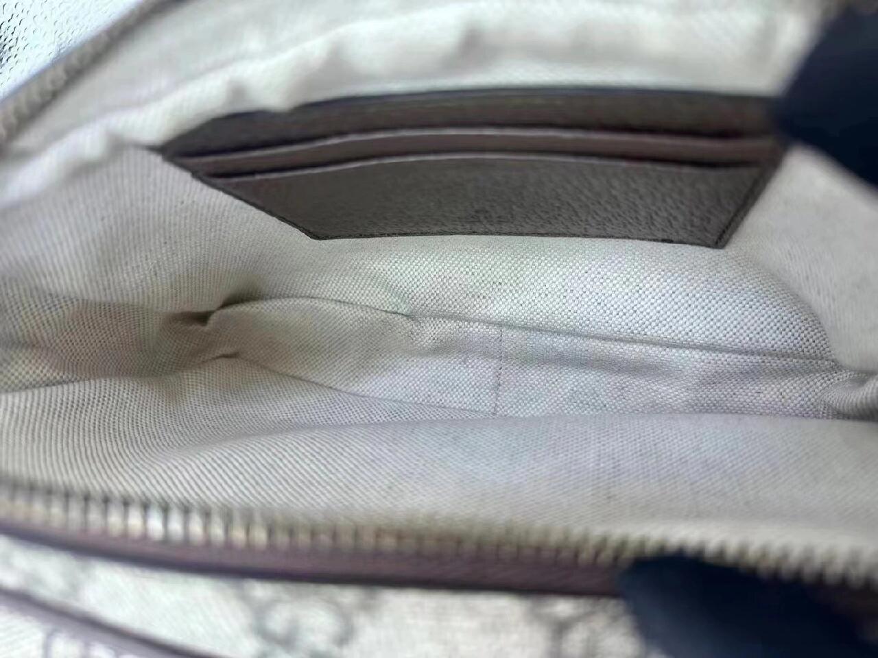 GUCCI OPHIDIA GG MINI BAG