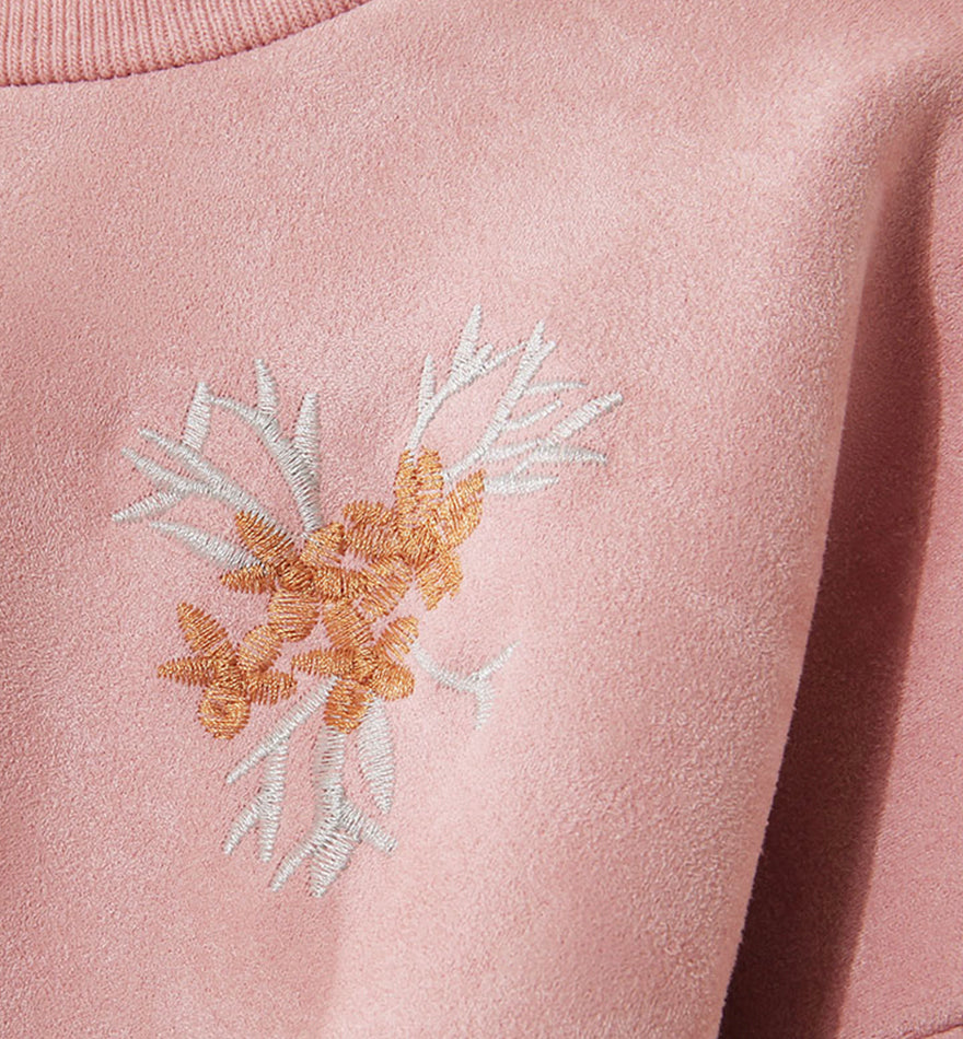 Cute embroidered long-sleeved T shirt 072