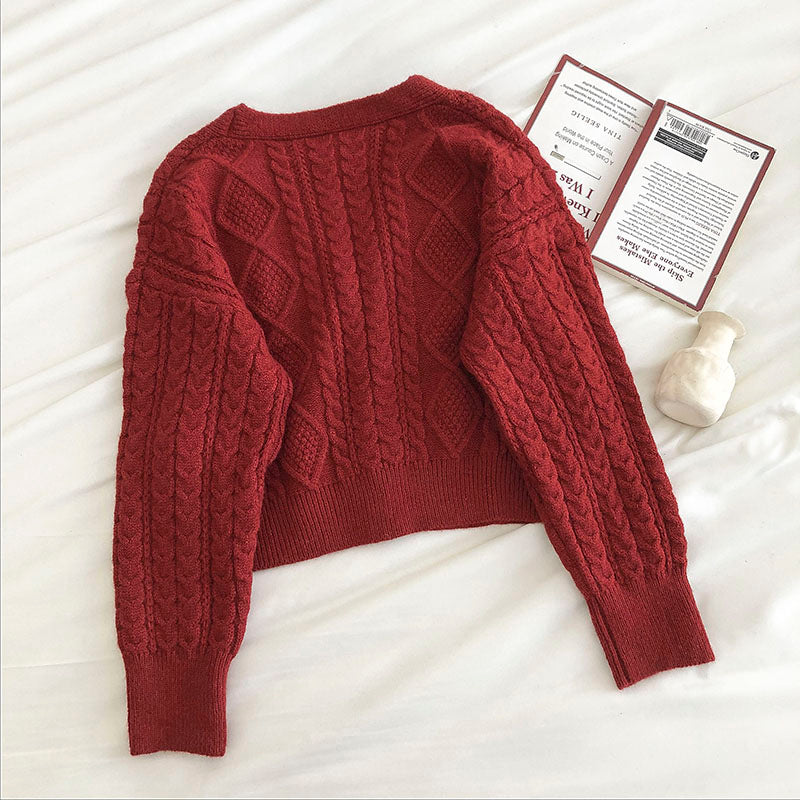 New retro fashion long sleeve loose twisted sweater cardigan 5840