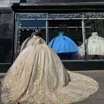 Champagne Quinceanera Dresses With 3D Floral Applique lace-up prom Sweet 16 dress     cg25108