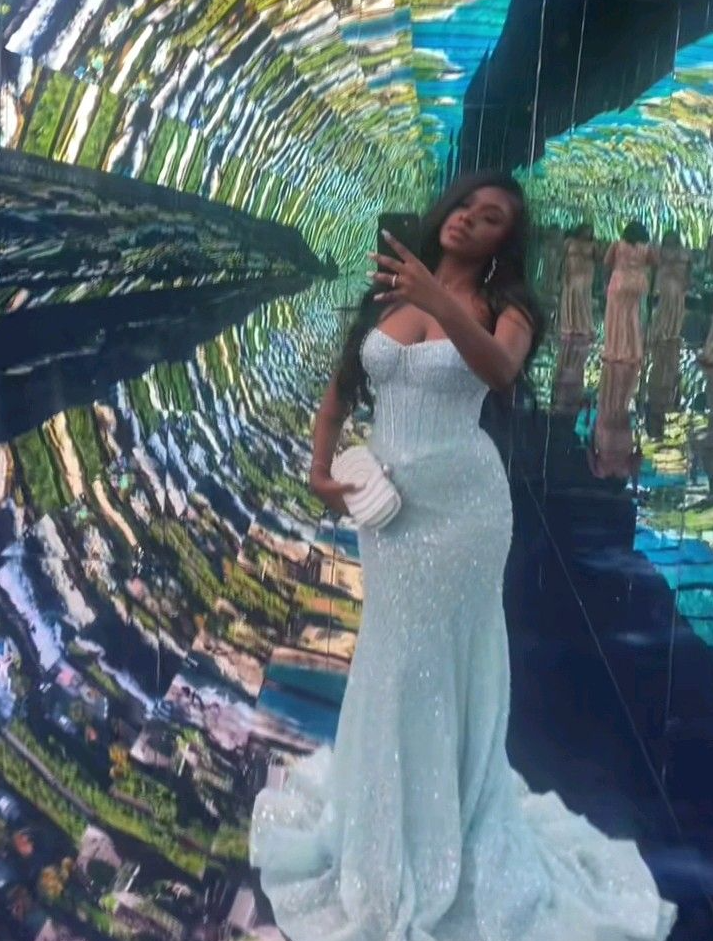 Glitter Light Blue Mermaid Long Prom Dresses Wedding Party Dress