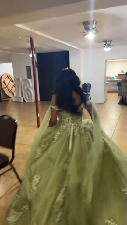 A Line Green Tulle Lace Princess Dresses Off the Shoulder Party Ball Gowns         fg6204