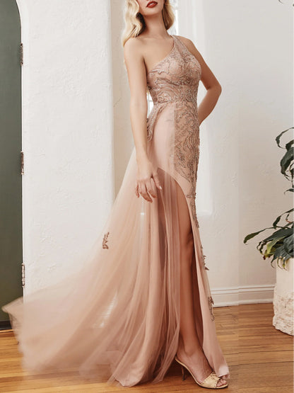 Off-Shoulder Lace Mesh Maxi Dress