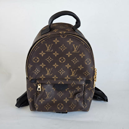 Louis Vuitton Monogram Palm Springs PM Backbag