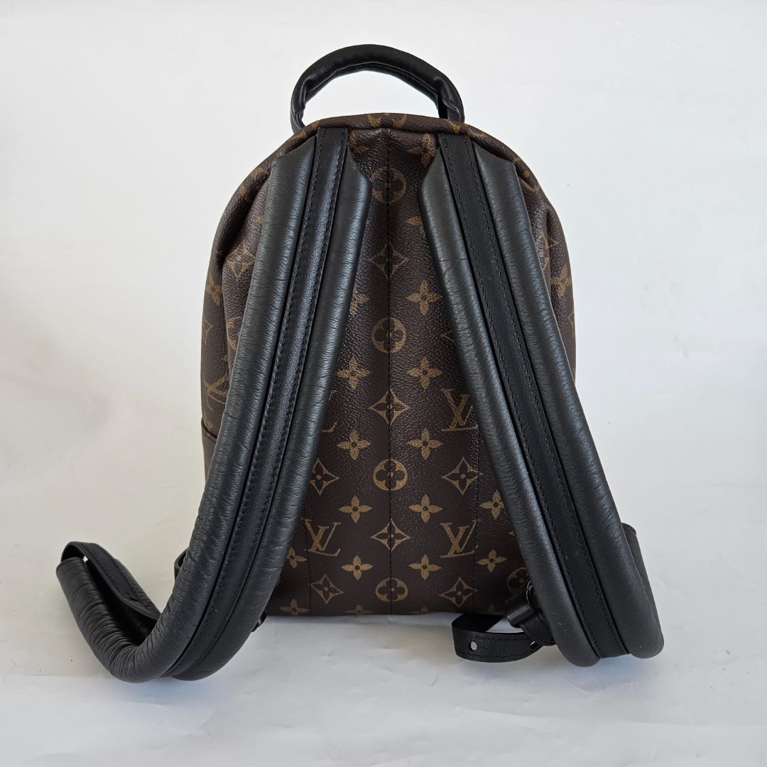 Louis Vuitton Monogram Palm Springs PM Backbag