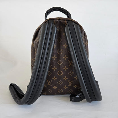 Louis Vuitton Monogram Palm Springs PM Backbag