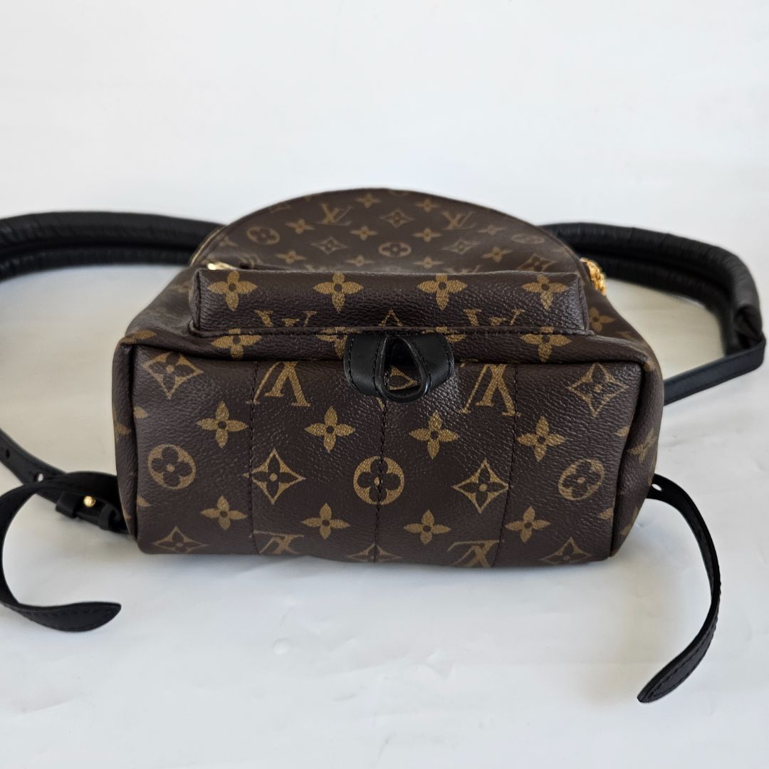 Louis Vuitton Monogram Palm Springs PM Backbag