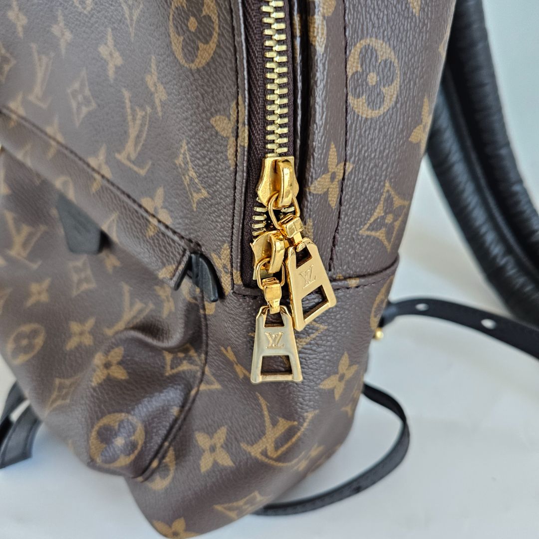 Louis Vuitton Monogram Palm Springs PM Backbag