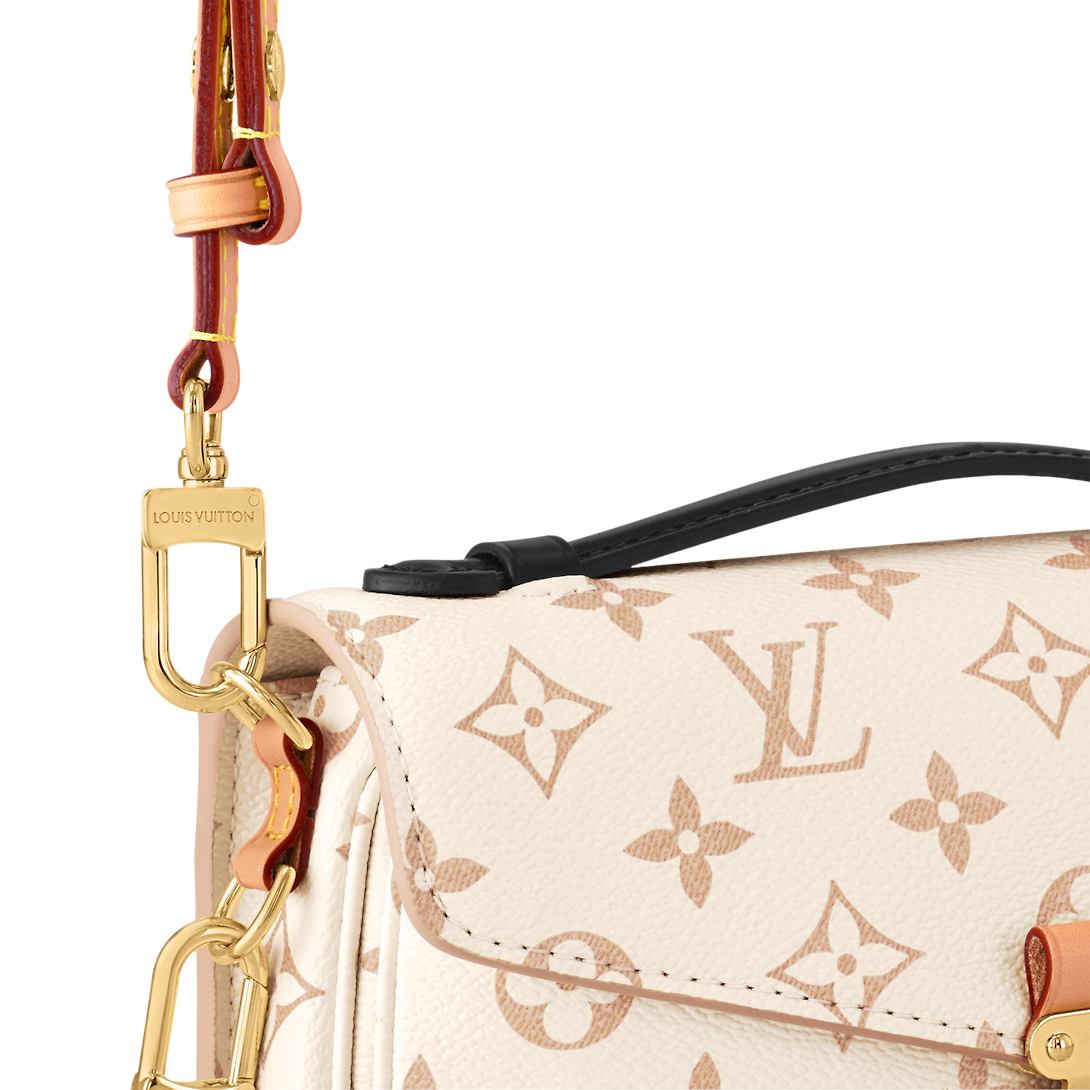 Louis Vuitton M46914 Pochette Métis East West