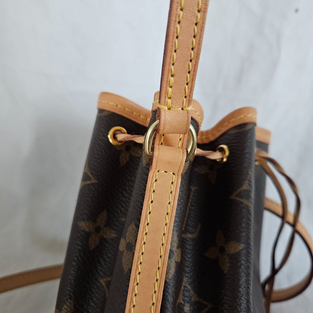 Louis Vuitton Monogram Canvas Nano Noe Bag