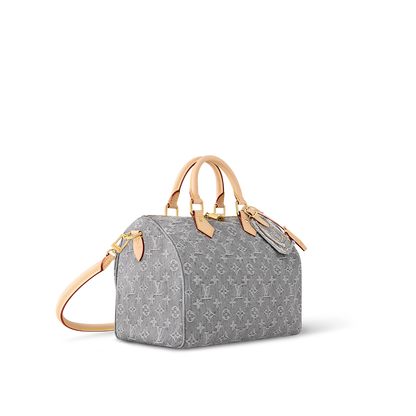 Louis Vuitton M13344 Speedy Soft 30