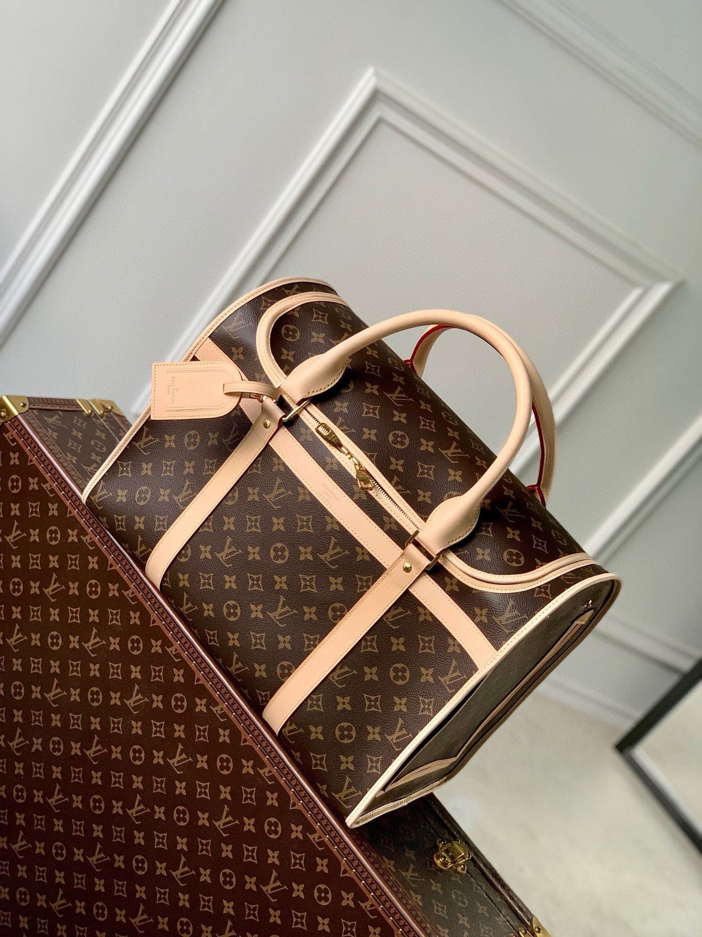 Louis Vuitton M45662 Dog Bag