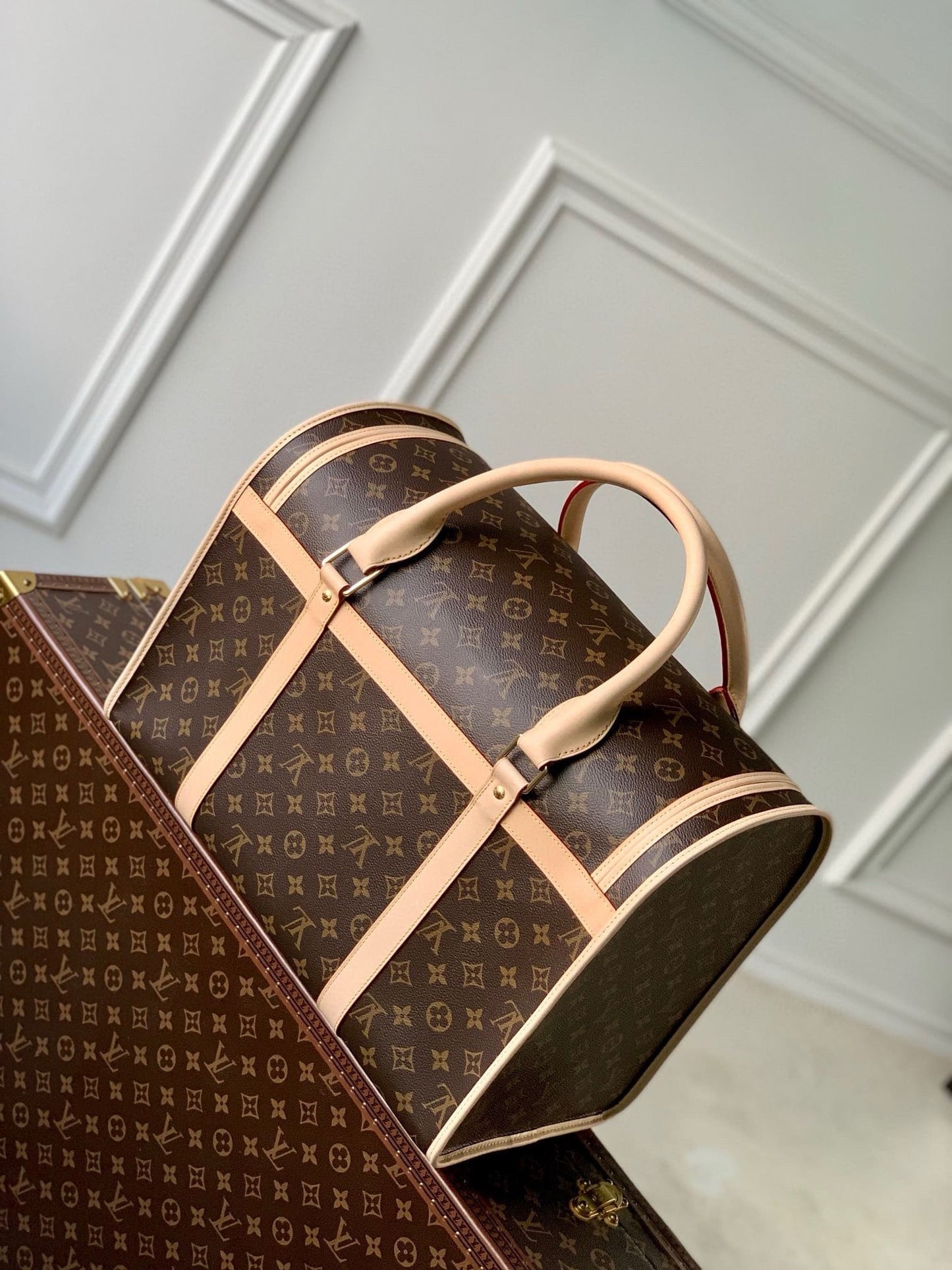 Louis Vuitton M45662 Dog Bag