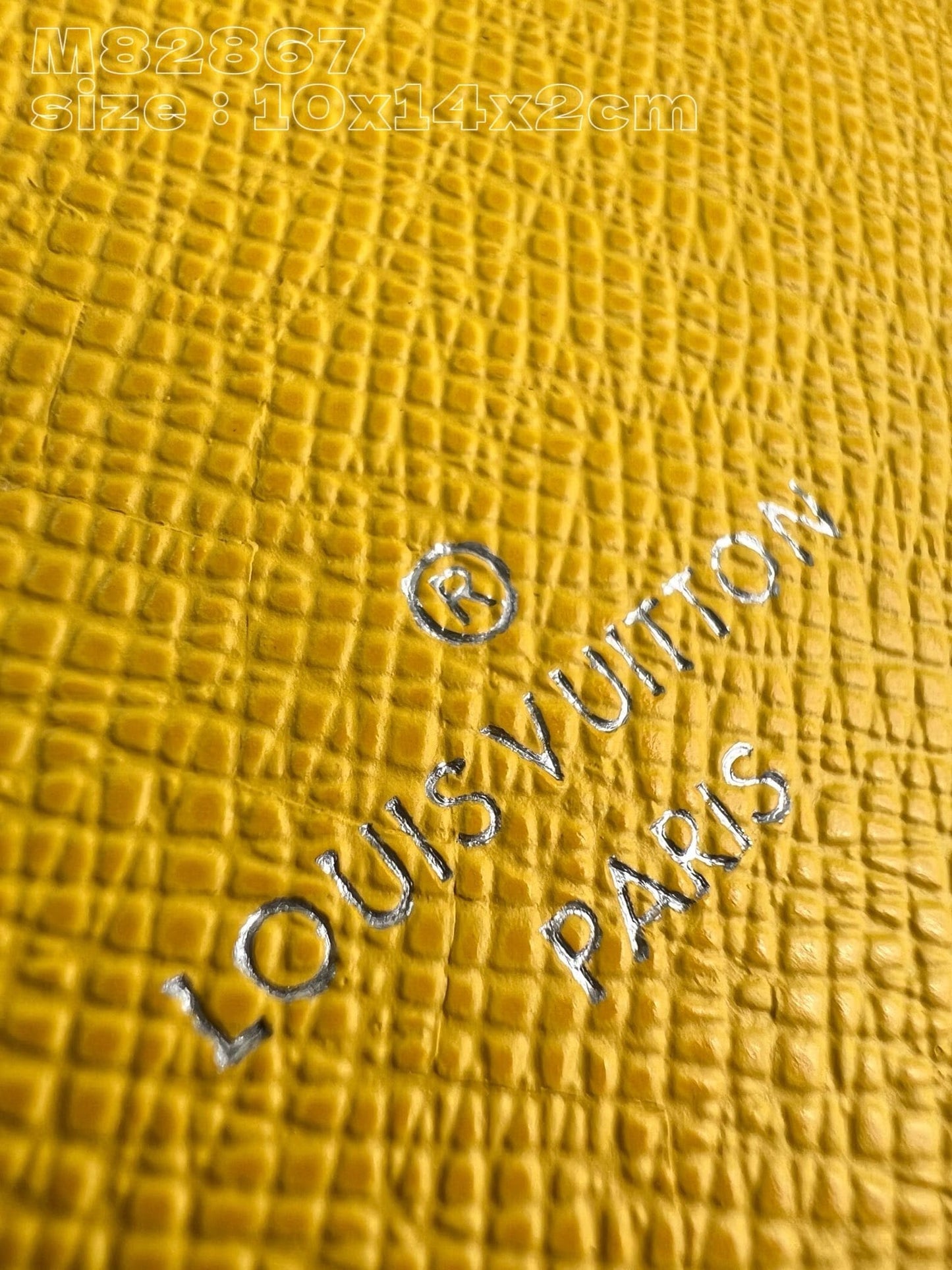 Louis Vuitton M82864 Passport Cover