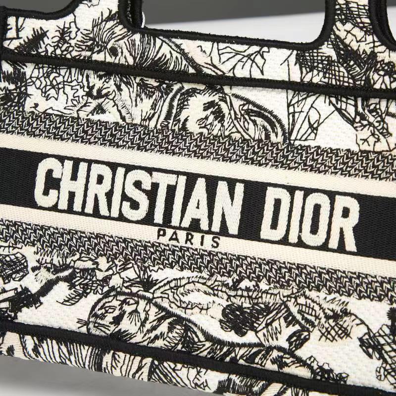 Small Dior Book Tote