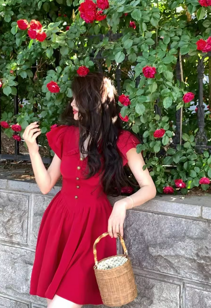 French V-neck flying sleeves dress ED0275