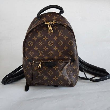 Louis Vuitton Monogram Palm Spring PM Backbag