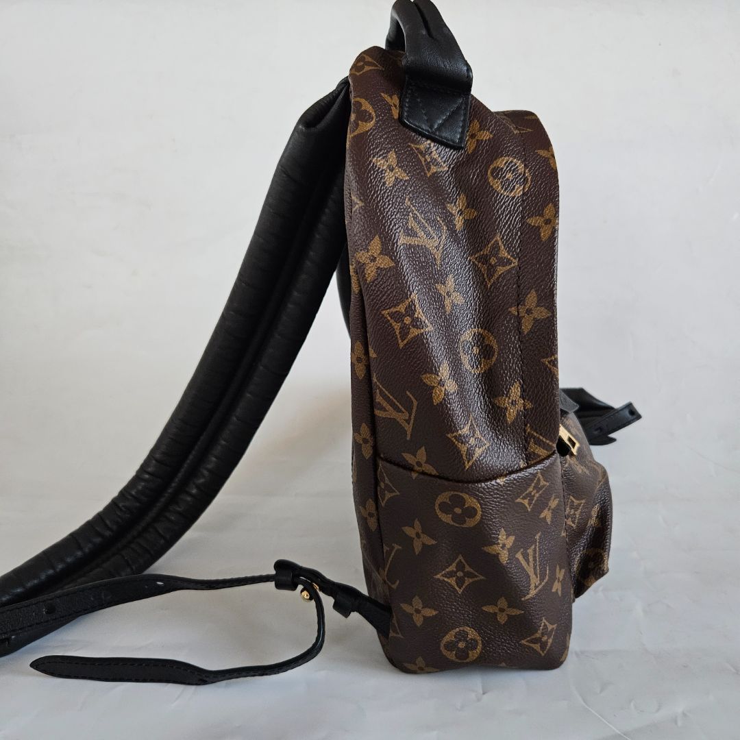 Louis Vuitton Monogram Palm Spring PM Backbag